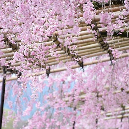 Guesthouse Kikokuan Kyoto Dış mekan fotoğraf