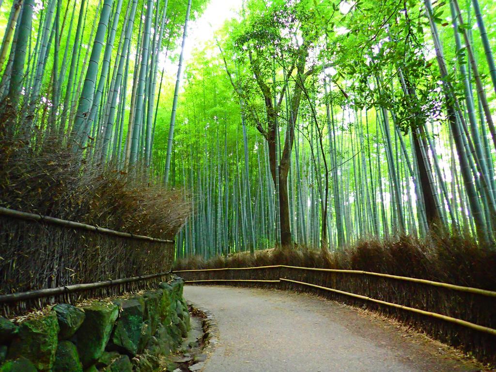 Guesthouse Kikokuan Kyoto Dış mekan fotoğraf
