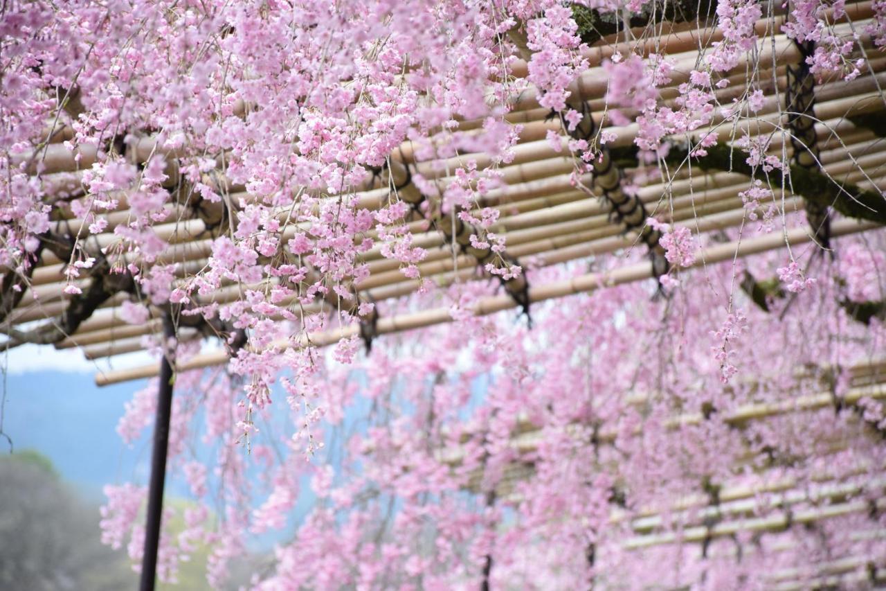 Guesthouse Kikokuan Kyoto Dış mekan fotoğraf